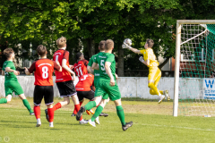 HFC-_vs_SGDresdenStriesen-06