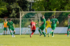 HFC-_vs_SGDresdenStriesen-21