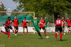 HFC-_vs_SGDresdenStriesen-29