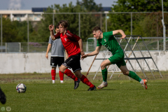 HFC-_vs_SGDresdenStriesen-43