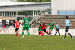 HFC-_vs_SGDresdenStriesen-46