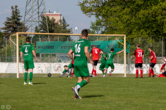 HFC-_vs_SGDresdenStriesen-49