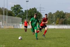 HFC-_vs_SGDresdenStriesen-55