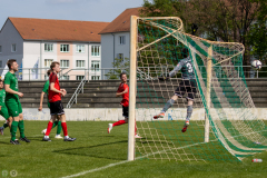 HFC-_vs_SGDresdenStriesen-67