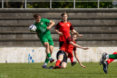 HFC-_vs_SGDresdenStriesen-83