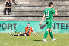 HFC_DSC_1-25