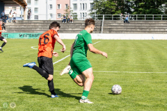 HFC_DSC_1-31