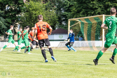HFC_DSC_1-44