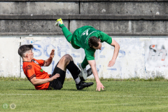 HFC_DSC_2-06
