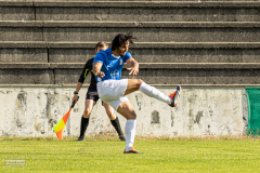 HFC_vs_TapferLeipzig-102