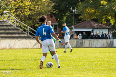 HFC_vs_TapferLeipzig-106