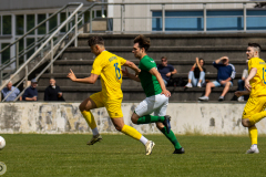 HFC2_vs_BFV2-014