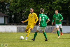 HFC2_vs_BFV2-018