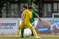 HFC2_vs_BFV2-035