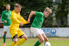 HFC2_vs_BFV2-037