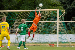 HFC2_vs_BFV2-039