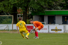 HFC2_vs_BFV2-042