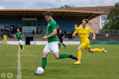HFC2_vs_BFV2-043