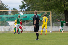 HFC2_vs_BFV2-055