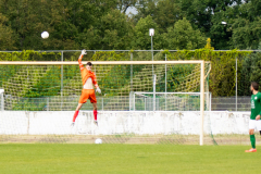 HFC2_vs_BFV2-096