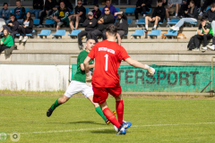 HFC2_vs_BFV2-103