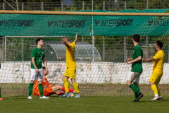HFC2_vs_BFV2-128