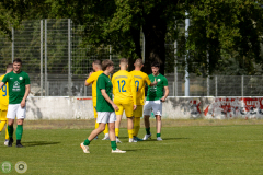 HFC2_vs_BFV2-130