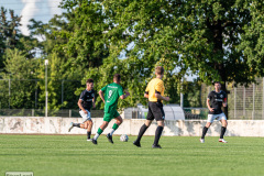 hfc_vs_budissa-11
