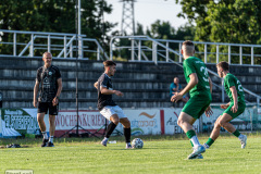 hfc_vs_budissa-12