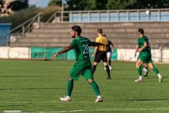 hfc_vs_budissa-13
