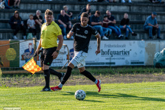 hfc_vs_budissa-14