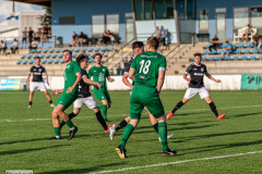 hfc_vs_budissa-15