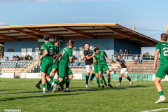 hfc_vs_budissa-18