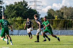 hfc_vs_budissa-19
