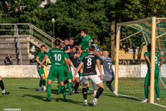 hfc_vs_budissa-2
