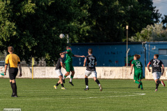 hfc_vs_budissa-22