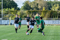 hfc_vs_budissa-23