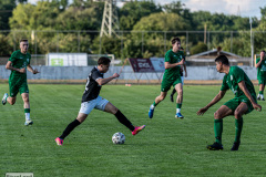 hfc_vs_budissa-24