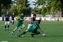 hfc_vs_budissa-25