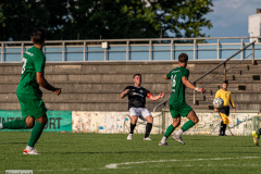 hfc_vs_budissa-27