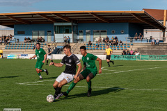 hfc_vs_budissa-3