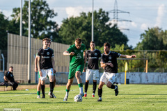hfc_vs_budissa-31