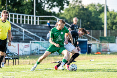 hfc_vs_budissa-32