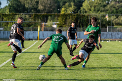 hfc_vs_budissa-33