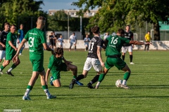 hfc_vs_budissa-34