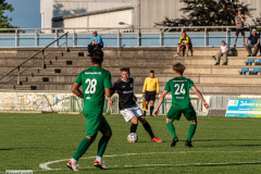 hfc_vs_budissa-35