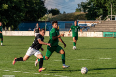 hfc_vs_budissa-36