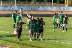 hfc_vs_budissa-39