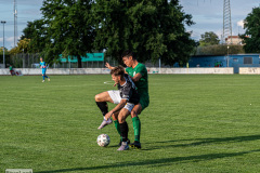 hfc_vs_budissa-4