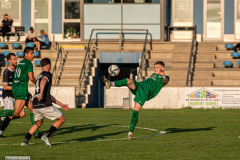hfc_vs_budissa-40